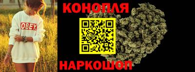 индика Владикавказ