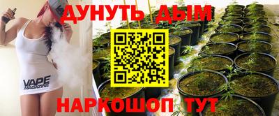 индика Владикавказ