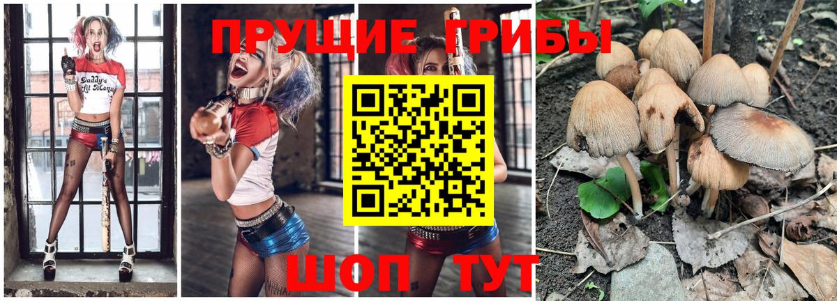 Артём  Псилоцибиновые грибы мухоморы  Вход с VPN 